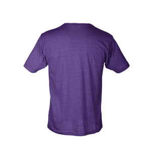 Novel Psychedelic Research Facility